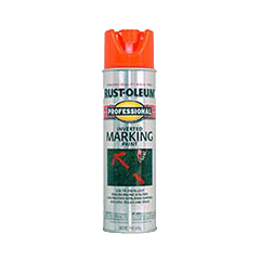 Related Product