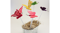 Butterfly Garden