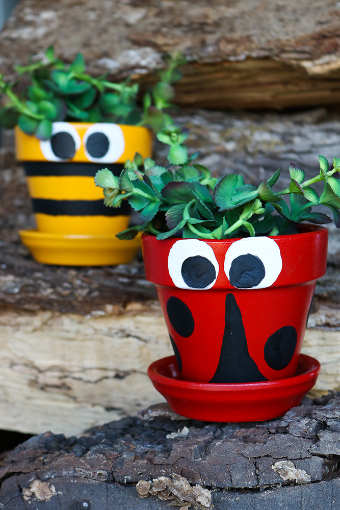 Painted Flower Pots