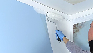 Mold Killing Primer
