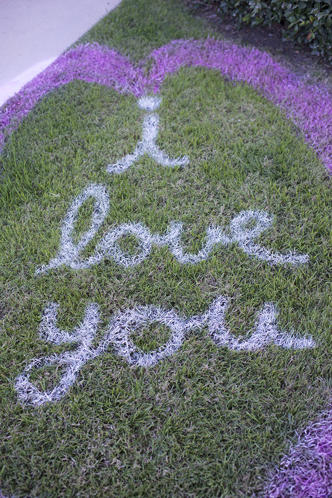 Spray Chalk I Love You Sign